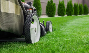 Garden cleaning service