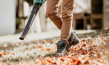 leaf cleaning service