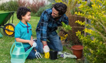 Garden cleaning service