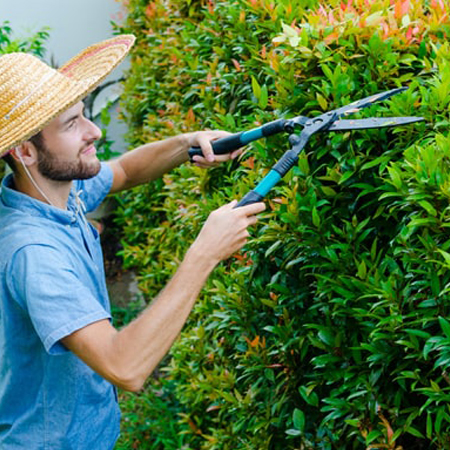 Grass cutting service