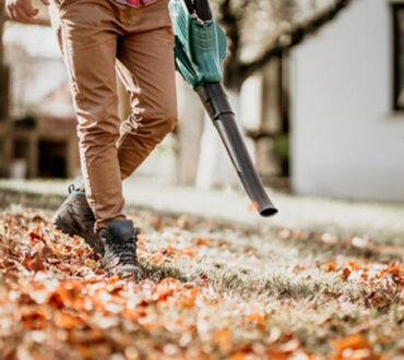 leaf cleaning service