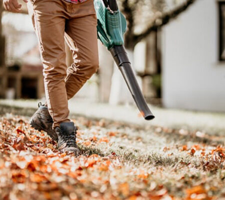 leaf cleaning service