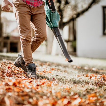 leaf cleaning service