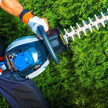 A man is cutting grass