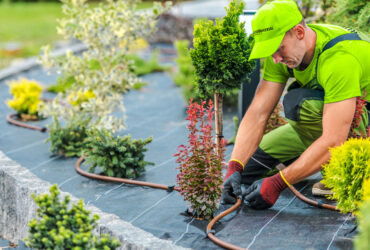 Landscaping Services