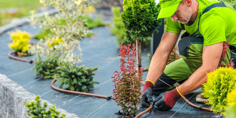 Landscaping Services