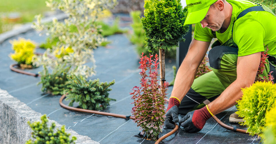 Landscaping Services